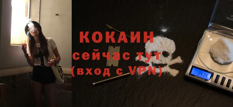 ссылка на мегу сайт  Кировград  Cocaine VHQ 