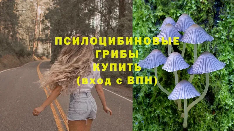 Псилоцибиновые грибы Magic Shrooms  где продают   Кировград 